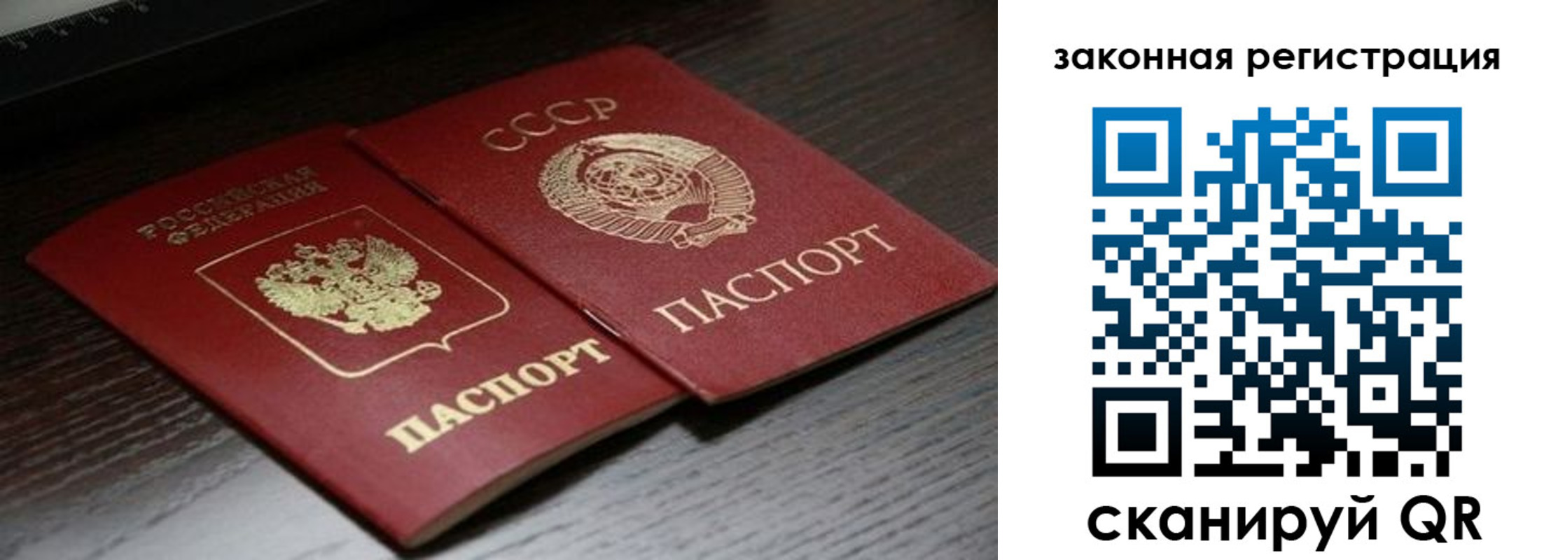 прописка поиск в Похвистнево